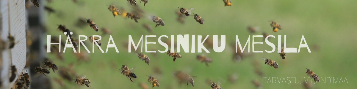 Härra Mesiniku mesila